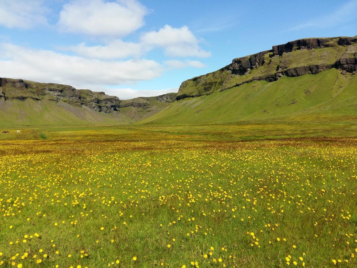 Gasthof Adventure Geirland Kirkjubæjarklaustur